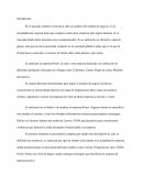 Análisis de la empresa Rosen