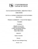 Casos de Éxito Sigma y Caterpilar