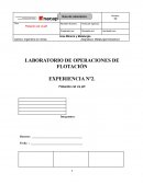 LABORATORIO DE OPERACIONES DE FLOTACIÓN EXPERIENCIA Nº2.