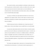 HIERBAS, ESPECIAS Y SU IMPORTANCIA