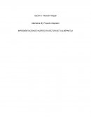 IMPLEMENTACIÓN DE HUERTO EN SECTOR DE TLALNEPANTLA