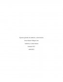 Aspectos generales de auditoría y control interno