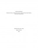 Informe Laboratorio Inercia