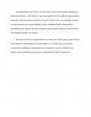 Emprendimiento empresa OMAMET