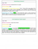 Fichas - Datos sobre Australopithecus
