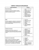 CAMPOS Y NIVELES OCUPACIONALES