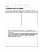 GUIA PARA CASO (SUST. QUIMICAS PELIGROSAS)