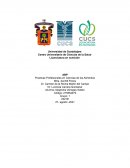 Practicas Profesionales en Ciencias de los Alimentos