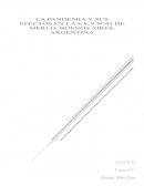 LA PANDEMIA Y SUS EFECTOS EN LA ESCUELA N°42 DE MERLO BUENOS AIRES ARGENTINA