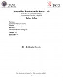 Reporte sobre la importancia y la influencia de diferentes organismos en pro de la cultura de paz
