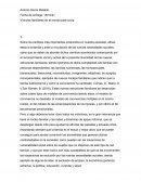 Vínculos familiares en el mundo post-covid