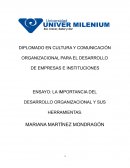 ENSAYO: LA IMPORTANCIA DEL DESARROLLO ORGANIZACIONAL Y SUS HERRAMIENTAS