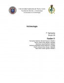 Victimologia. Linea del tiempo