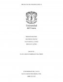 Proyecto de Construccion