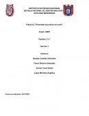 Práctica 5 “Diversidad microbiana en suelo”