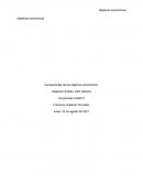 Componentes de los objetivos económicos