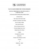 Investigación de Mercados: World Ligth