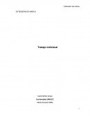 Brand management. Extensión de marca