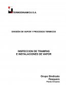 DIVISIÓN DE VAPOR Y PROCESOS TERMICOS INSPECCION DE TRAMPAS E INSTALACIONES DE VAPOR