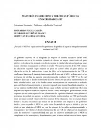 ¿Por qué el MEN no logra resolver los problemas de pérdida de agencia intergubernamental mediante los FER?. Página 1