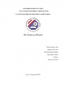 Practica 1 Medición del pH de la manzana