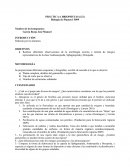 Biología de Plantas