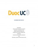 Economia participativa