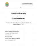 Proyecto productivo “producción de rosella para abastecer a la sala de industria de la E.A.E”