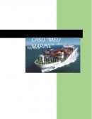 CASO “MELI MARINE”