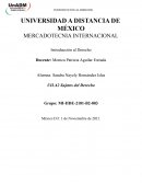 MERCADOTECNIA INTERNACIONAL