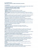 MORFOLOGÍA. El sustantivo, el adjetivo, determinantes y pronombres