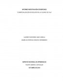 INFORME INVESTIGACIÓN DE MERCADO “COMERCIALIZACIÓN DE BOLSOS EN LA CIUDAD DE CALI”