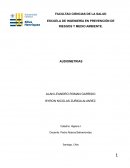 Informe Higiene Salud y seguridad, Audiometrias