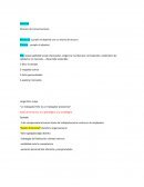 DIRCOM Director de comunicaciones