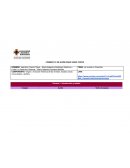 FORMATO 2 DE GUIÓN PARA VIDEO CORTO