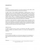 Making MPR Work Resumen