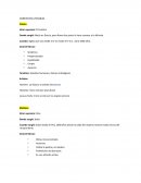 Corrientes literarias