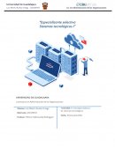 Precisión en la conceptualización de los sistemas tecnológicos