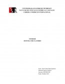 INFORME SISTEMA CIRCULATORIO