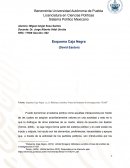 Sistema Político Mexicano