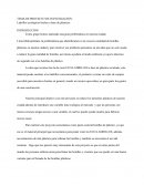 Ladrillos ecológicos hechos a base de plásticos