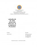 Analisis de solvencia a largo plazo