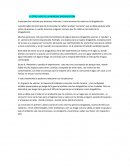 EL OTRO LADO DE LA MONEDA/ DROGADICCION