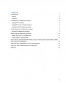 UN DEBATE SOBRE LOS PROBLEMAS DE LA TIPIFICACIÓN JURÍDICA DEL FEMINICIDIO EN MÉXICO