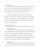 Adquisición de activos