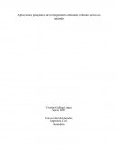 Aplicaciones paisajísticas de la fotogrametría utilizando vehículos aéreos no tripulados