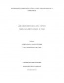 PRESENTACIÓN PROBLEMÁTICA ÉTICO A NIVEL ORGANIZACIONAL O EMPRESARIAL