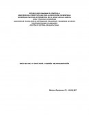 ANALISIS DE LA TIPOLOGIA Y DISEÑO DE LA ORGANIZACIÓN