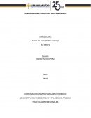 Administracion en seguridad y salud en el trabajo. Practicas profesionales