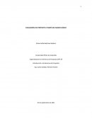 Introducción a la Gerencia de Proyectos